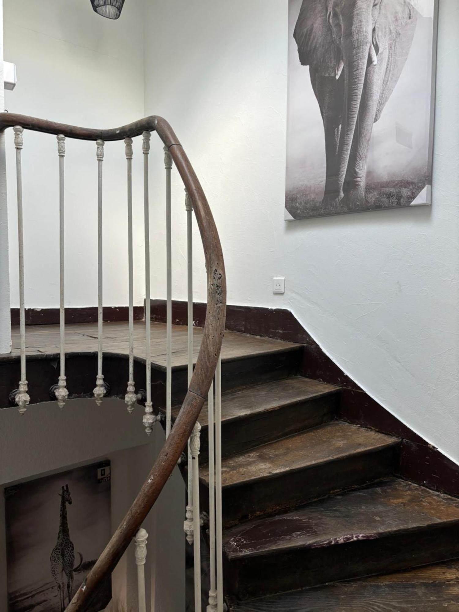 Le Duplex Safari Apartment Saint-Aignan  Exterior photo