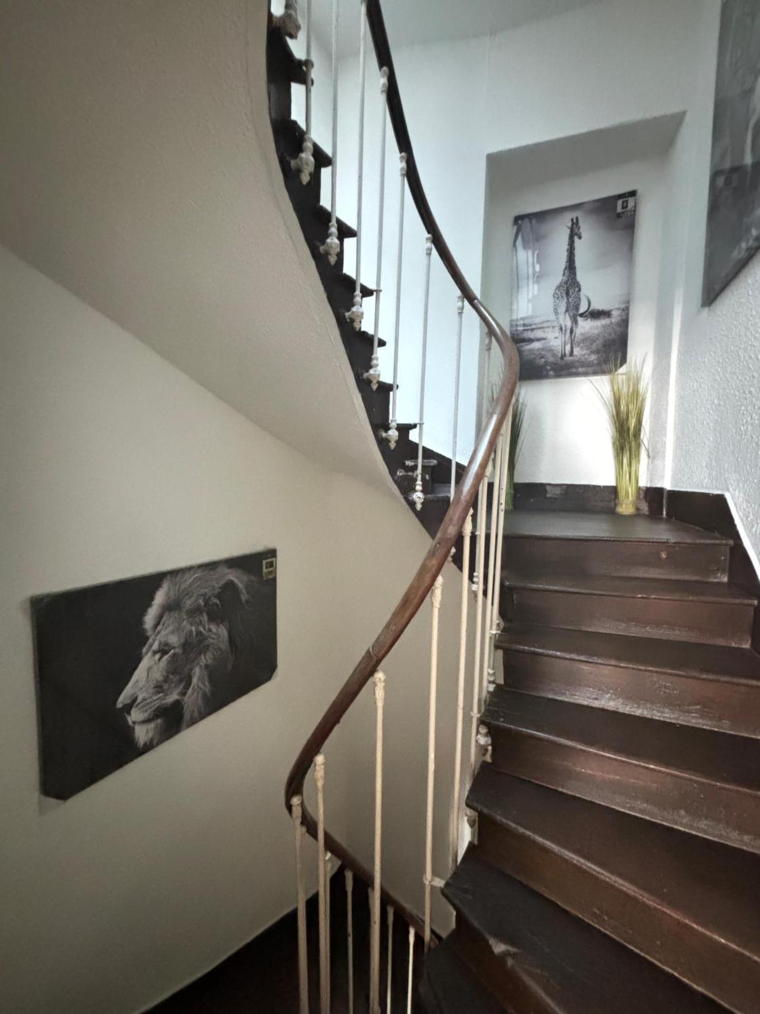 Le Duplex Safari Apartment Saint-Aignan  Exterior photo